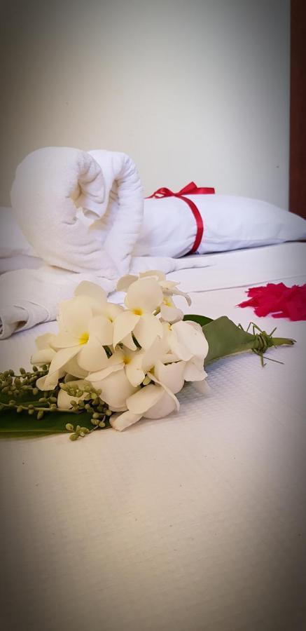 Chale Aconchego Dos Milagres Villa เซามิเกลโดสมีลาเกรส ภายนอก รูปภาพ